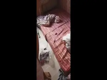 Momen Romantis Sejoli Di Kamar Pacar Cantik